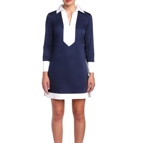 Elizabeth McKay Dresses & Skirts - BROWN Elizabeth McKay Tunic Dress